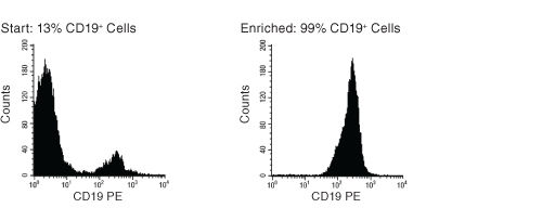 FACS Histogram Results with EasySep™ HLA B Cell Enrichment Kit