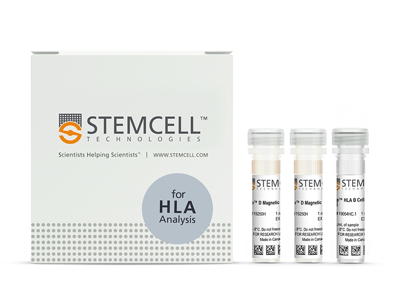 EasySep™ HLA B Cell Enrichment Kit