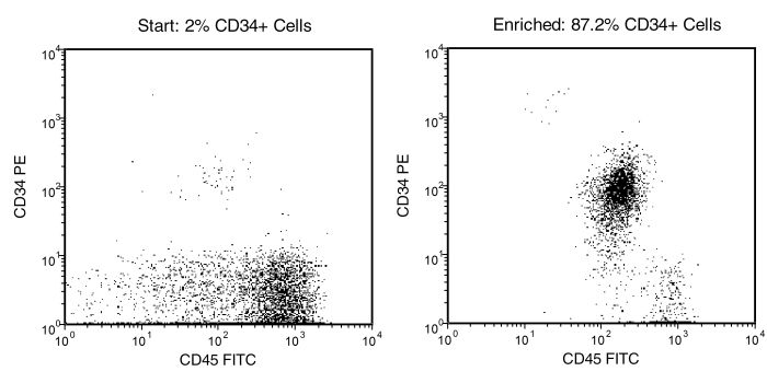 Starting with Nucleated Cells, the CD34+ Cell Content of the Enriched Fraction Typically Ranges from 50 - 75% Depending on the Quality of the Start Sample