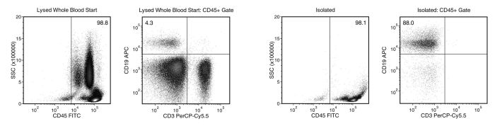 Starting with human whole blood from normal healthy donors, the typical B cell (CD3-CD19+) content of the non-lysed final isolated fraction is 87.0 ± 7.6% (gated on CD45) or 84.1 ± 11.7% (not gated on CD45)