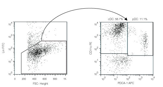 Enriched Pan-Dendritic Cells obtained using EasySep™ Mouse pan-DC Enrichment Kit