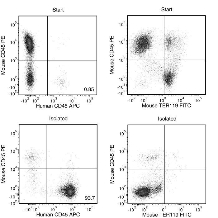 Typical EasySep™ Mouse/Human Chimera Isolation Profile