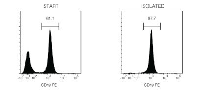 Typical EasySep™ Mouse B Cell Isolation Profile