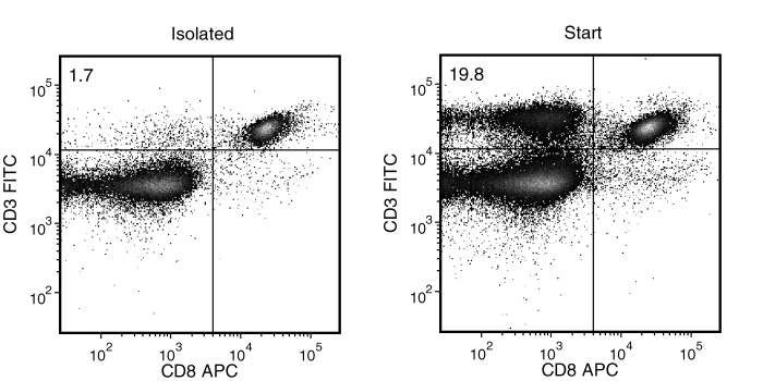 Typical Mouse Streptavidin Rapidspheres™ CD4 (CD3+CD8-) Depletion Profile