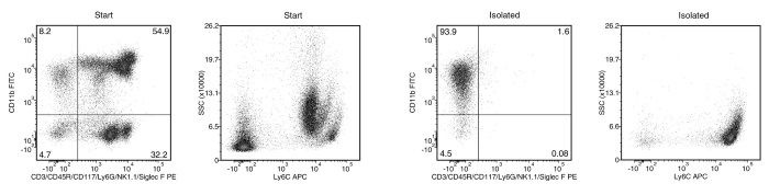 Typical EasySep™ Mouse Monocyte Isolation Profile