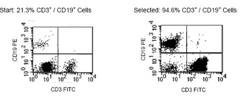 Typical EasySep™ Total Lymphocyte Enrichment Profile