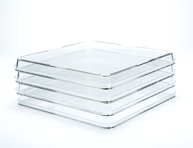 245 mm x 245 mm Square Treated Tissue Culture Dishes