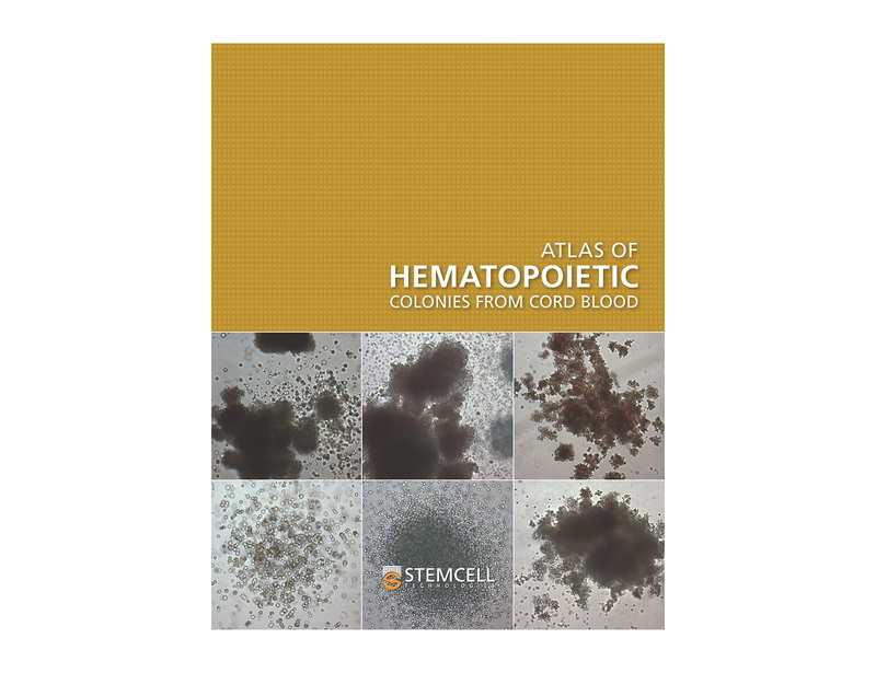 Atlas of Hematopoietic Colonies From Cord Blood