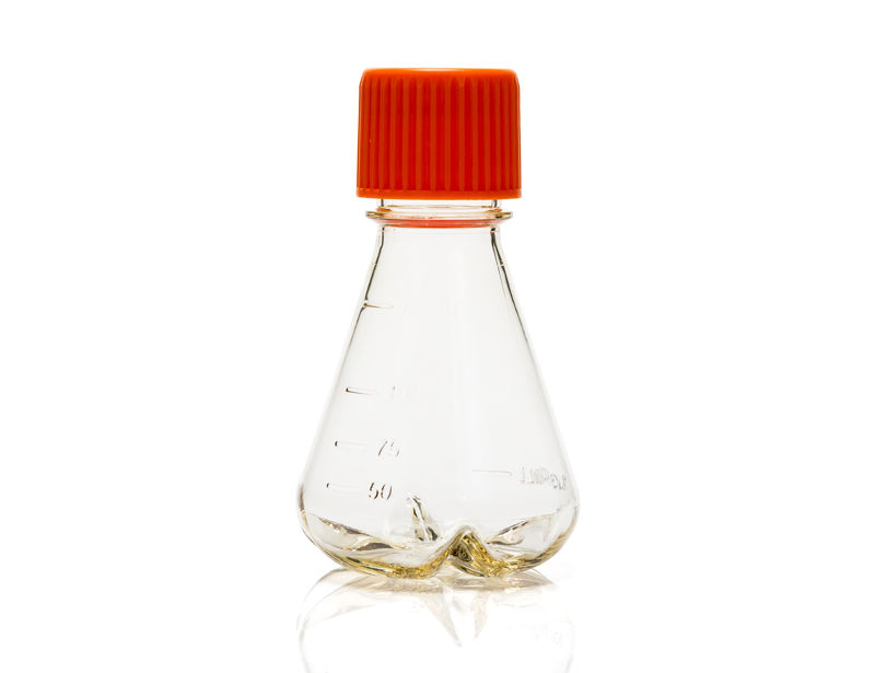 Corning® Disposable Erlenmeyer Flask, 125 mL