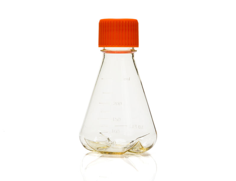 Corning® Disposable Erlenmeyer Flask, 250 mL