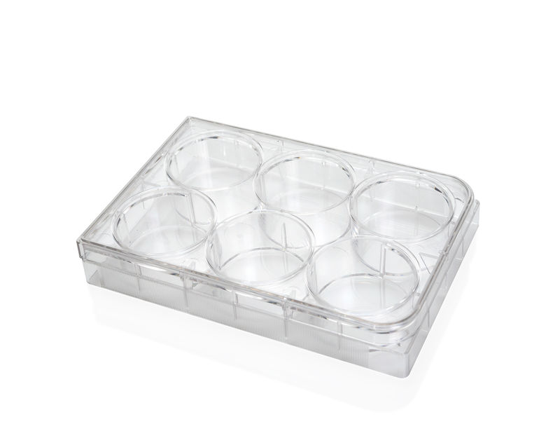 Costar® 6-Well Flat-Bottom Plate, Tissue Culture-Treated