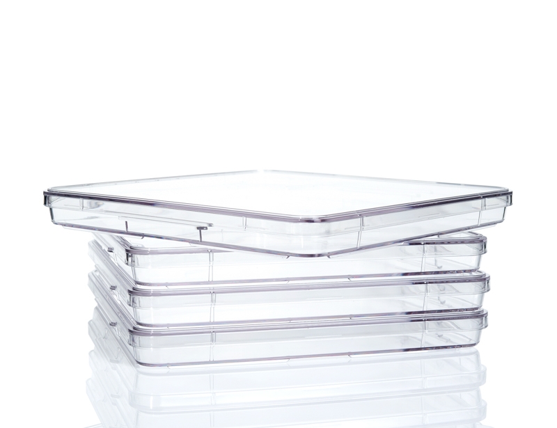 245 mm Square Dish, Tissue Culture-Treated