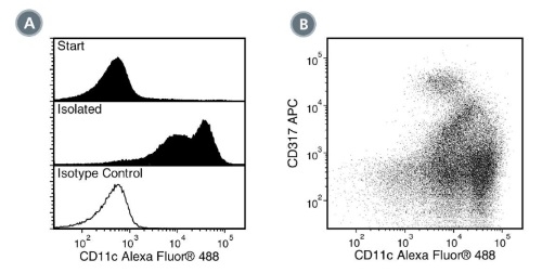 Data for Alexa Fluor® 488-Conjugated