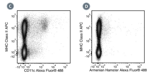 Data for Alexa Fluor® 488-Conjugated