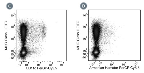 Data for PerCP-Cy55-Conjugated