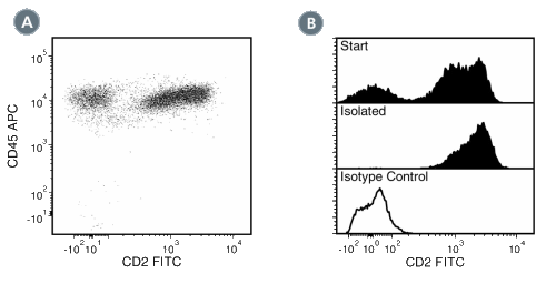 Data for Anti-Human CD2 Antibody, Clone RPA-2.10, FITC