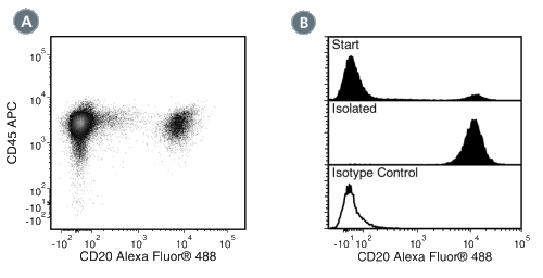 Data for Alexa Fluor® 488-Conjugated