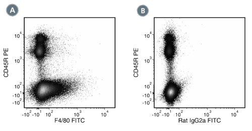 Data for FITC-Conjugated