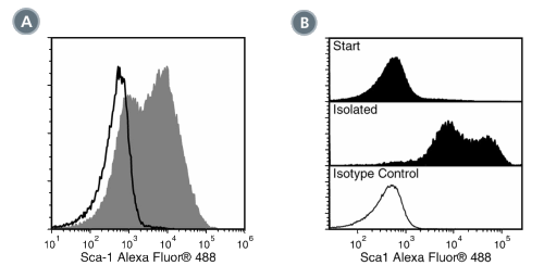 Data for Alexa Fluor® 488-Conjugated