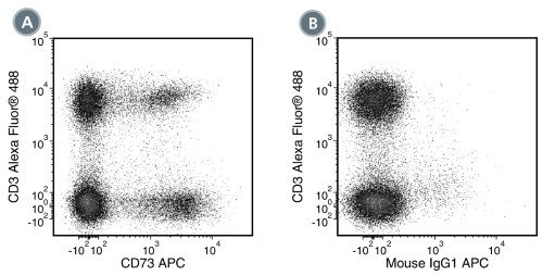 Data for Alexa Fluor® 488-Conjugated