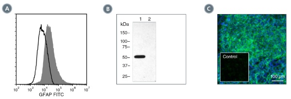 Data for Unconjugated