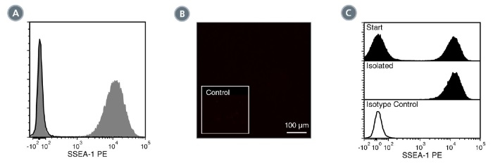 Data for PE-Conjugated