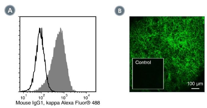 Data for Alexa Fluor® 488-Conjugated