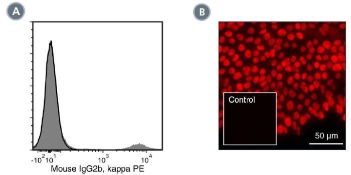 Data for PE-Conjugated