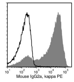 Data for Unconjugated