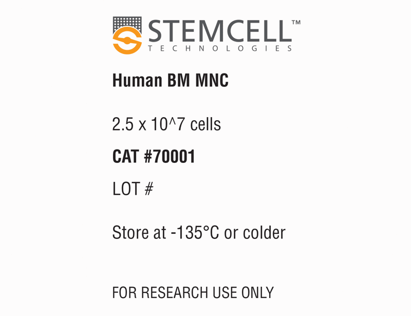 Human Bone Marrow Mononuclear Cells, Frozen