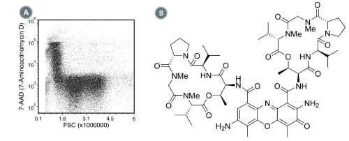 (A) Flow cytometry analysis of human peripheral blood mononuclear cells (PBMCs) labeled with 7-AAD (7-Aminoactinomycin D)