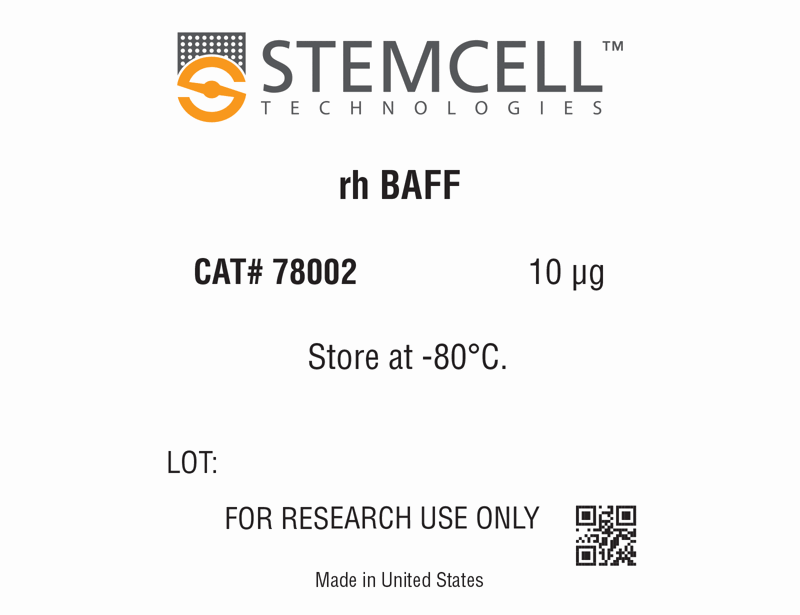 Human Recombinant BAFF