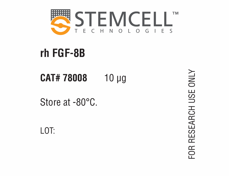 Human Recombinant FGF-8B