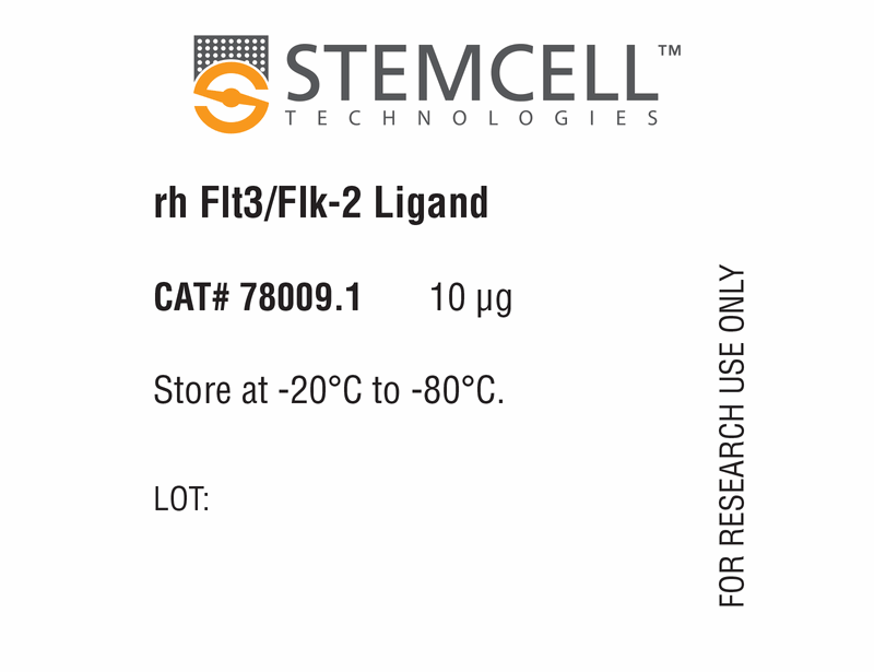 Human Recombinant Flt3/Flk-2 Ligand