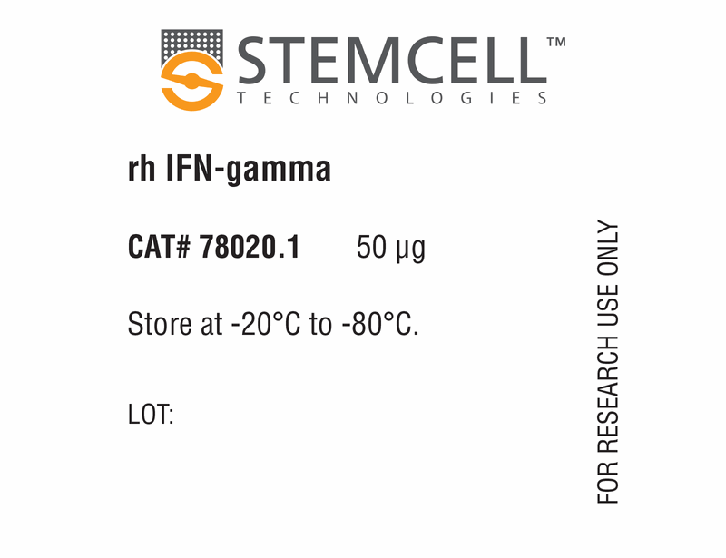 Human Recombinant IFN-gamma