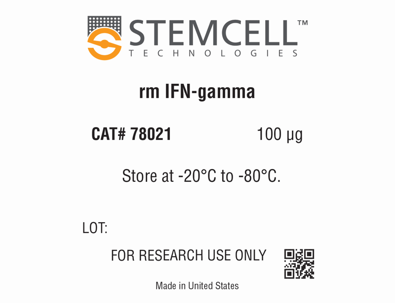 Mouse Recombinant IFN-gamma