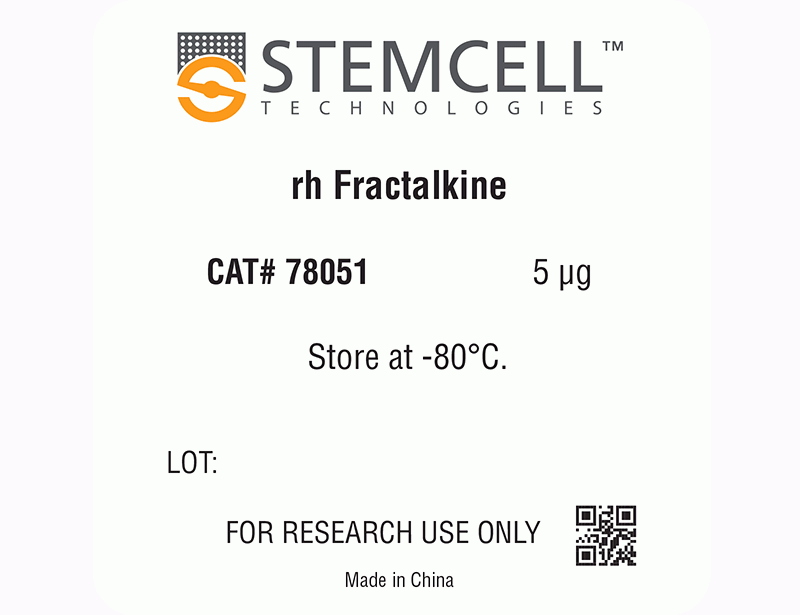 Human Recombinant Fractalkine (CX3CL1)