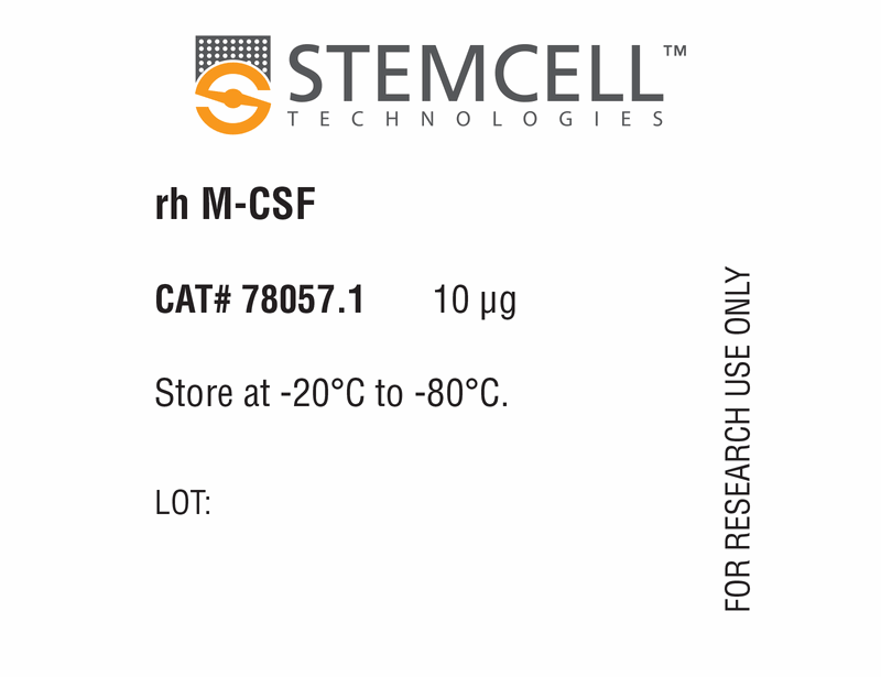 Human Recombinant M-CSF