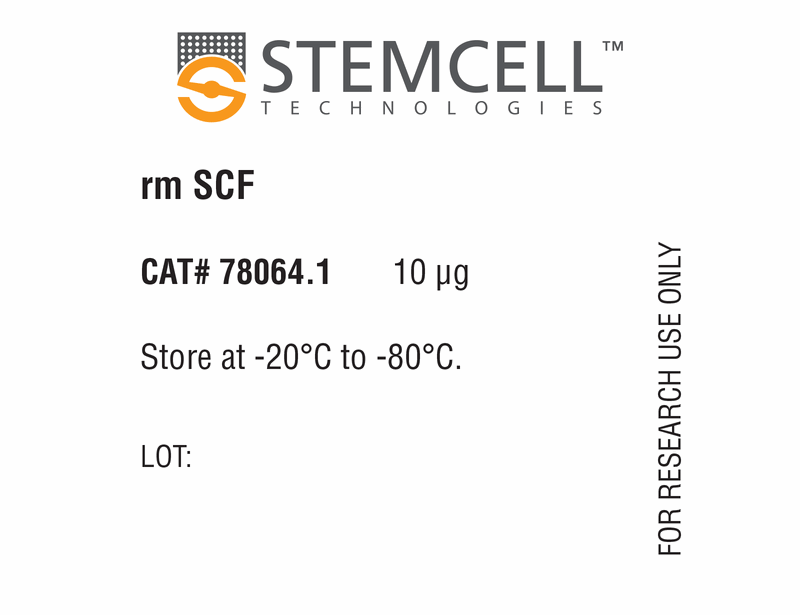 Mouse Recombinant SCF