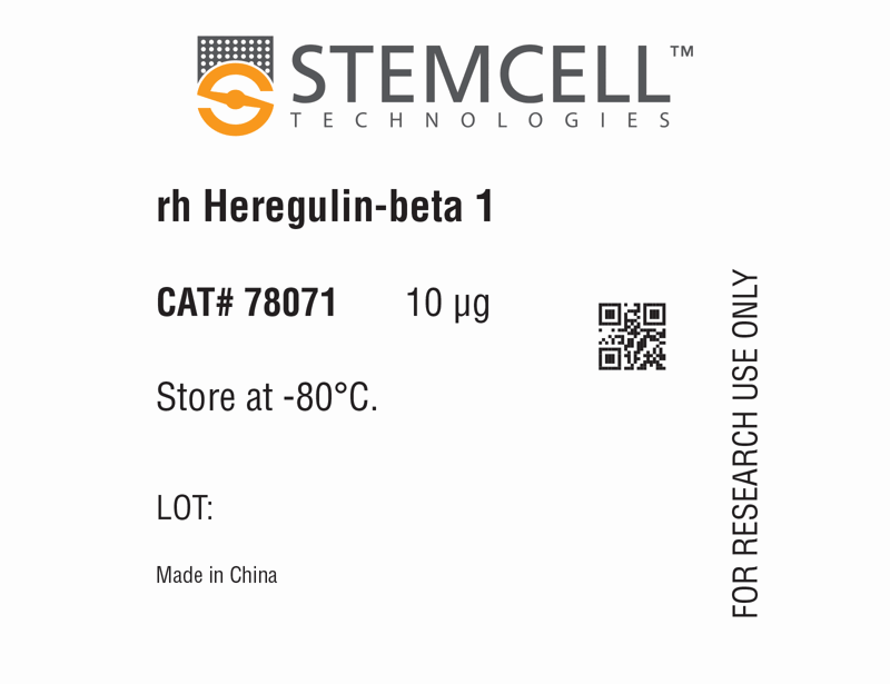 Human Recombinant Heregulin-beta 1