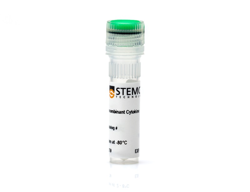 Rat Recombinant EGF