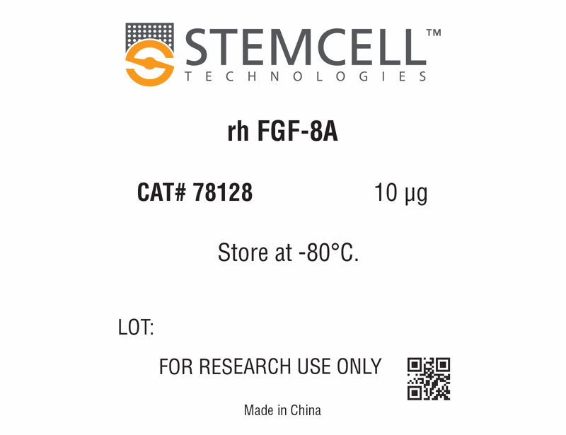 Human Recombinant FGF-8A