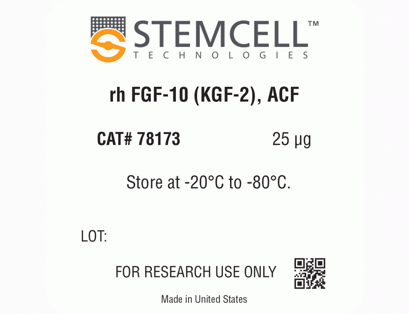 Human Recombinant FGF-10 (KGF-2), ACF