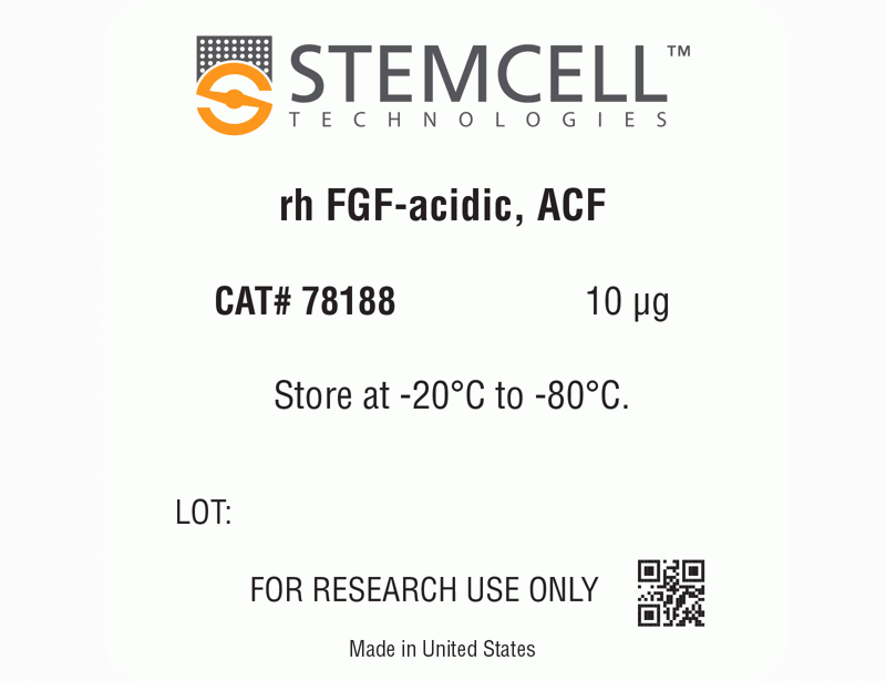 Human Recombinant FGF-acidic, ACF