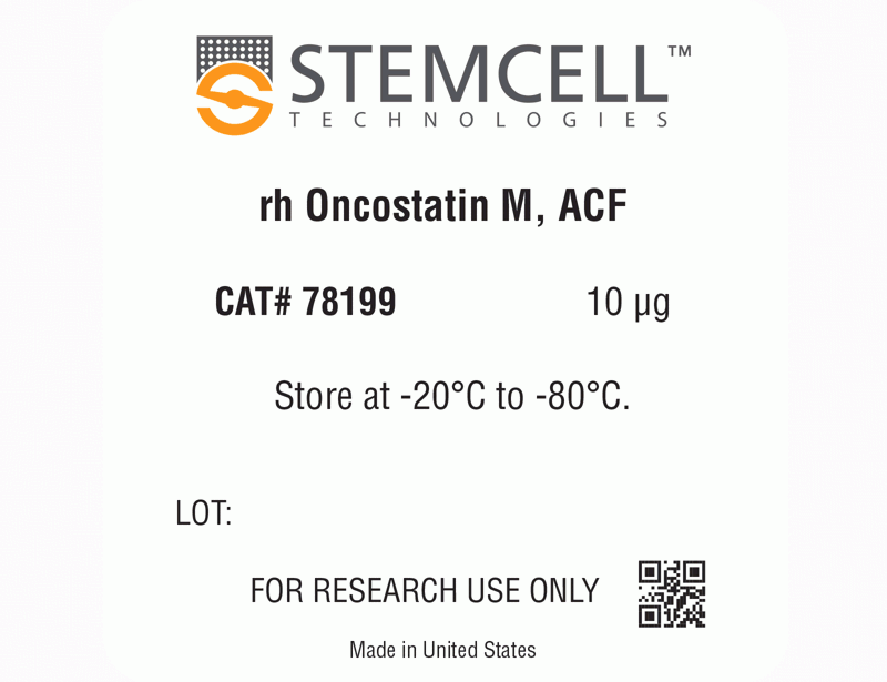 Human Recombinant Oncostatin M, ACF