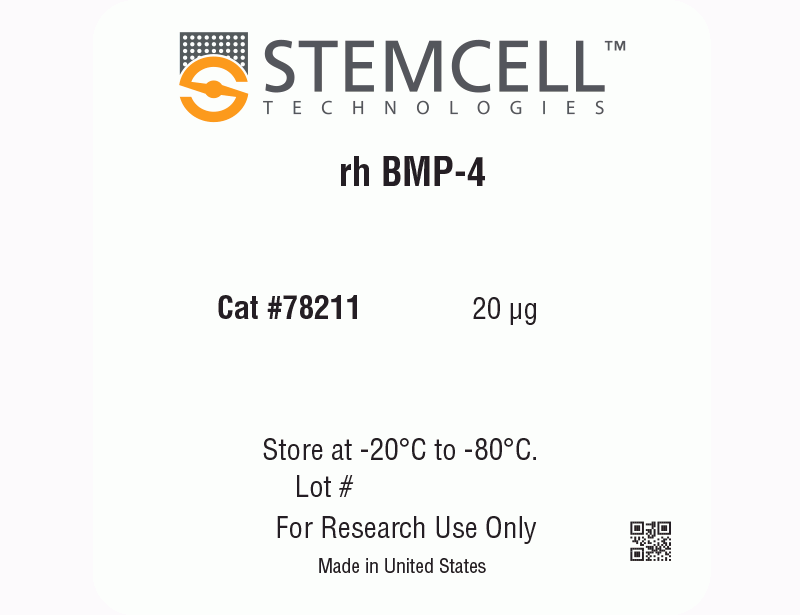 Human Recombinant BMP-4