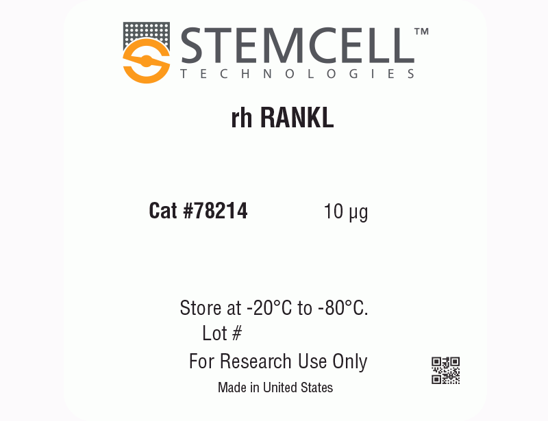 Human Recombinant RANKL