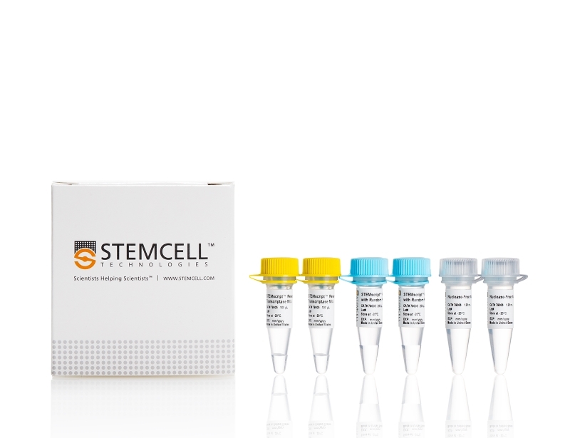 STEMscript™ cDNA Synthesis Kits