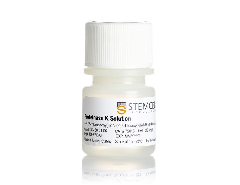 Proteinase K Solution