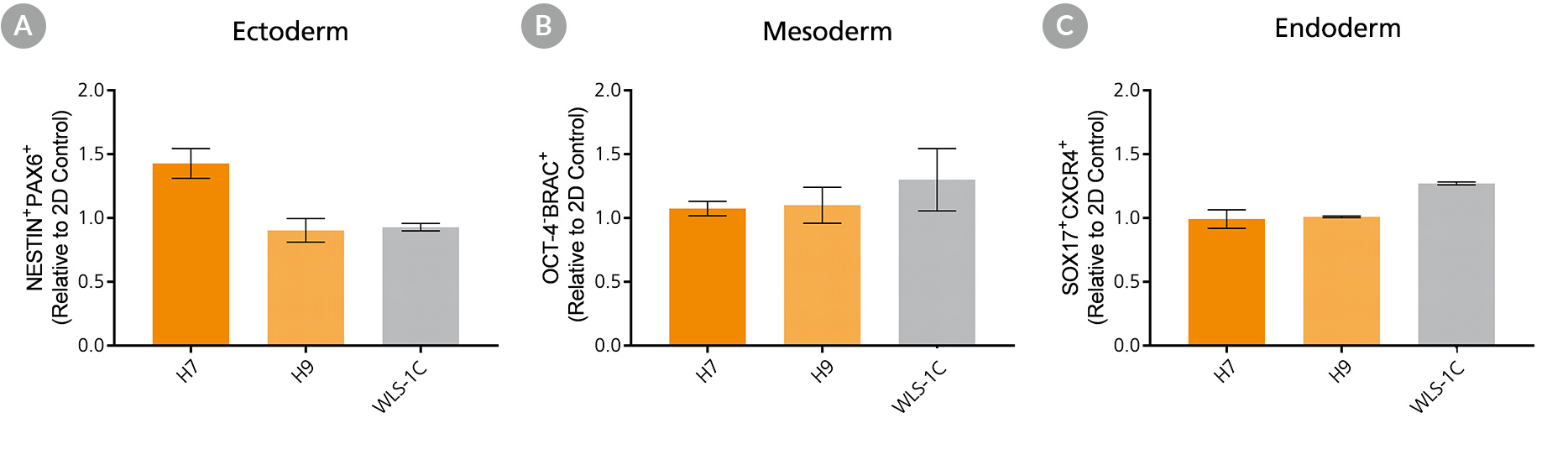 Expression of lineage-specific markers measured in ectoderm, mesoderm, and endoderm differentiated from human ES and iPS cells cultured in TeSR™-E8™3D suspension culture.